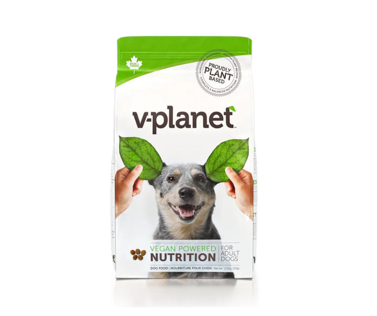 Pet Food & Accessories