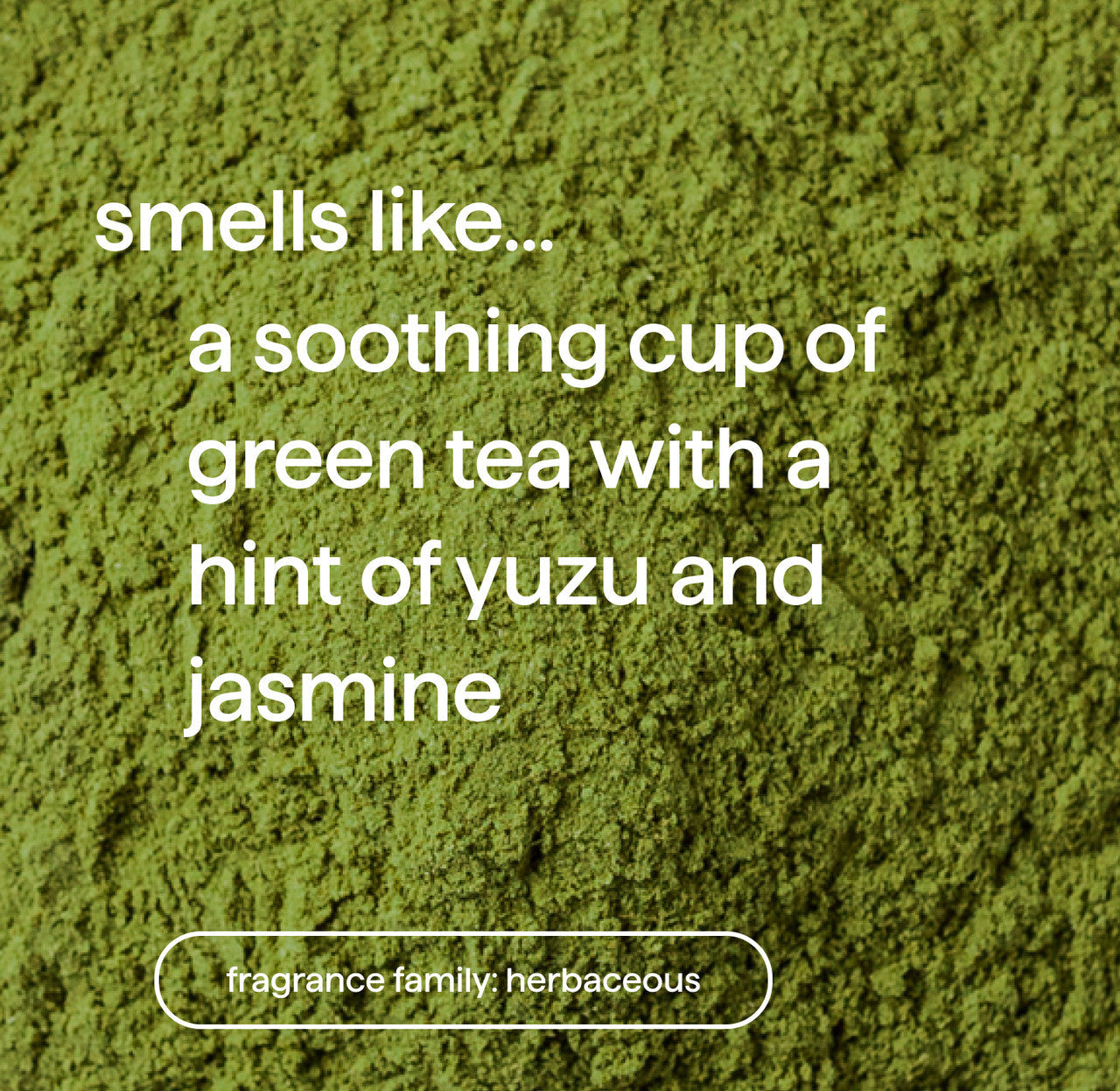 vibrant color shampoo - mindful matcha, 14 fl oz