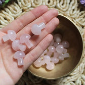 Mini Crystal Mushrooms - Vegan America