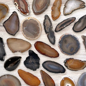 Agate Slice - Vegan America