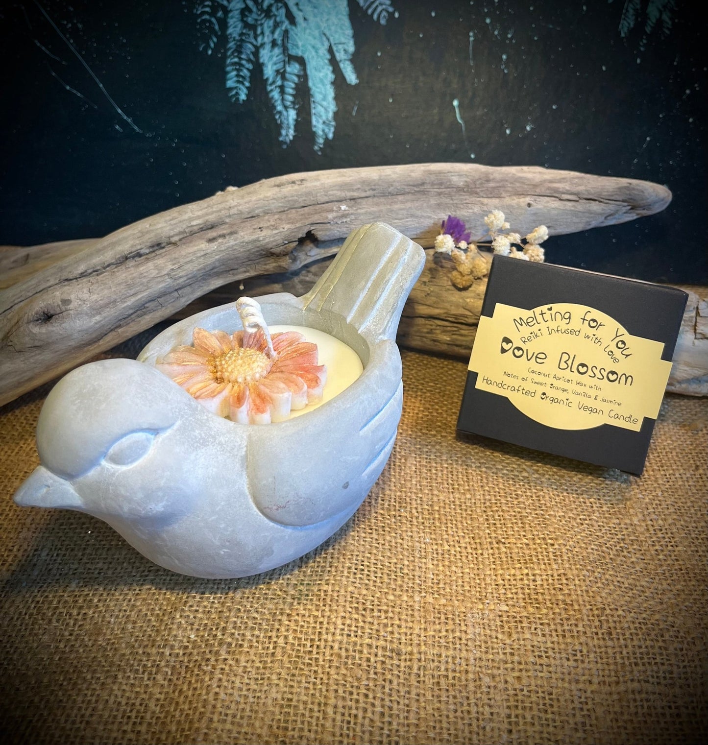 Dove Blossom Organic Candles - Vegan America