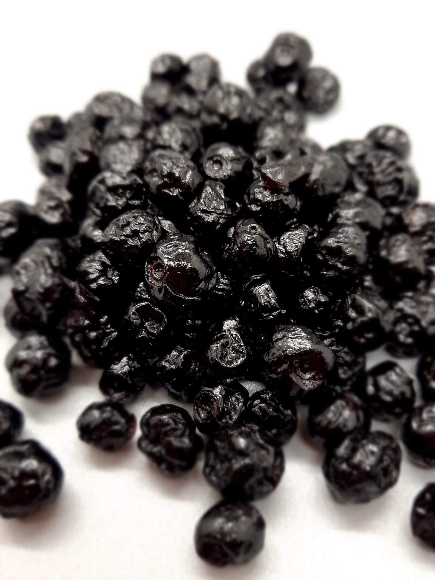 NEW Dark Chocolate Alegria Bites w/ Blueberries + Cacao Nibs