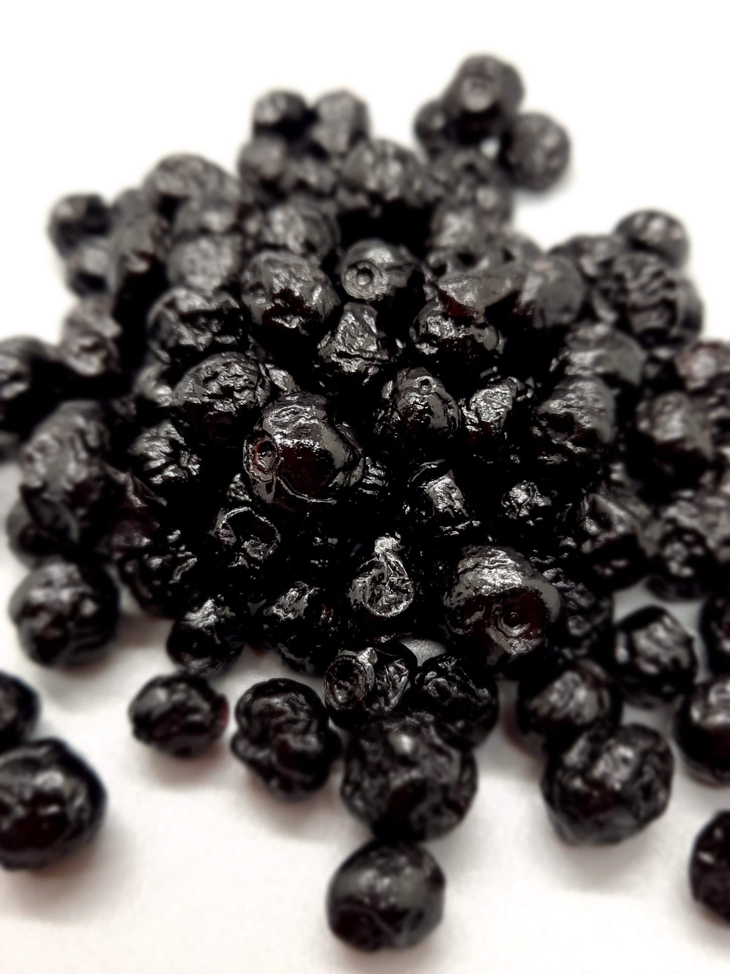 NEW Dark Chocolate Alegria Bites w/ Blueberries + Cacao Nibs (Wholesale) - Vegan America