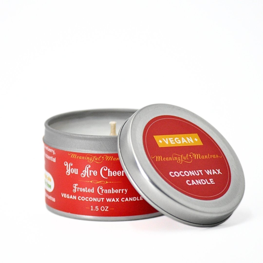 1.5oz Frosted Cranberry Tin Candle - Vegan America