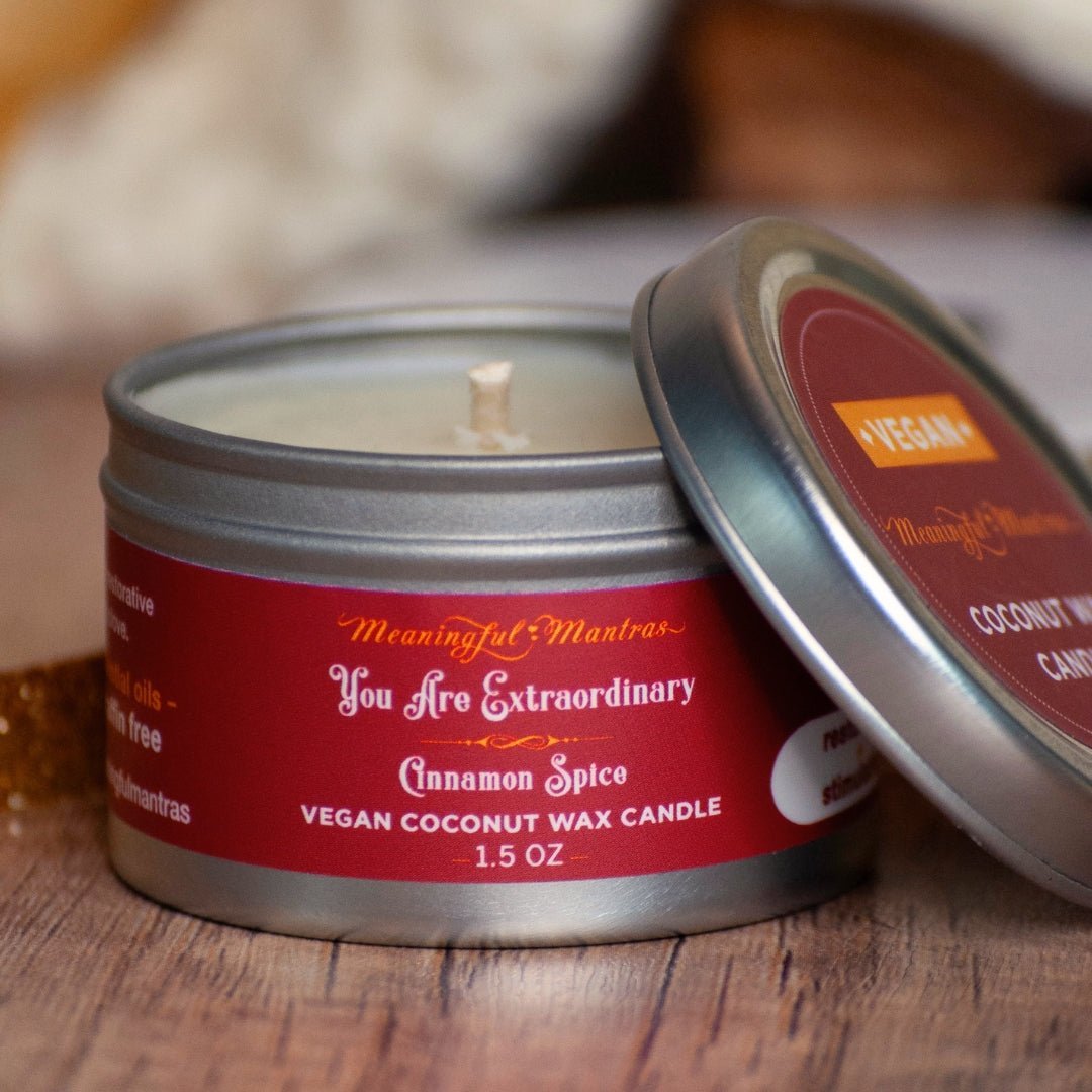 1.5oz Cinnamon Spice Tin Candle - Vegan America