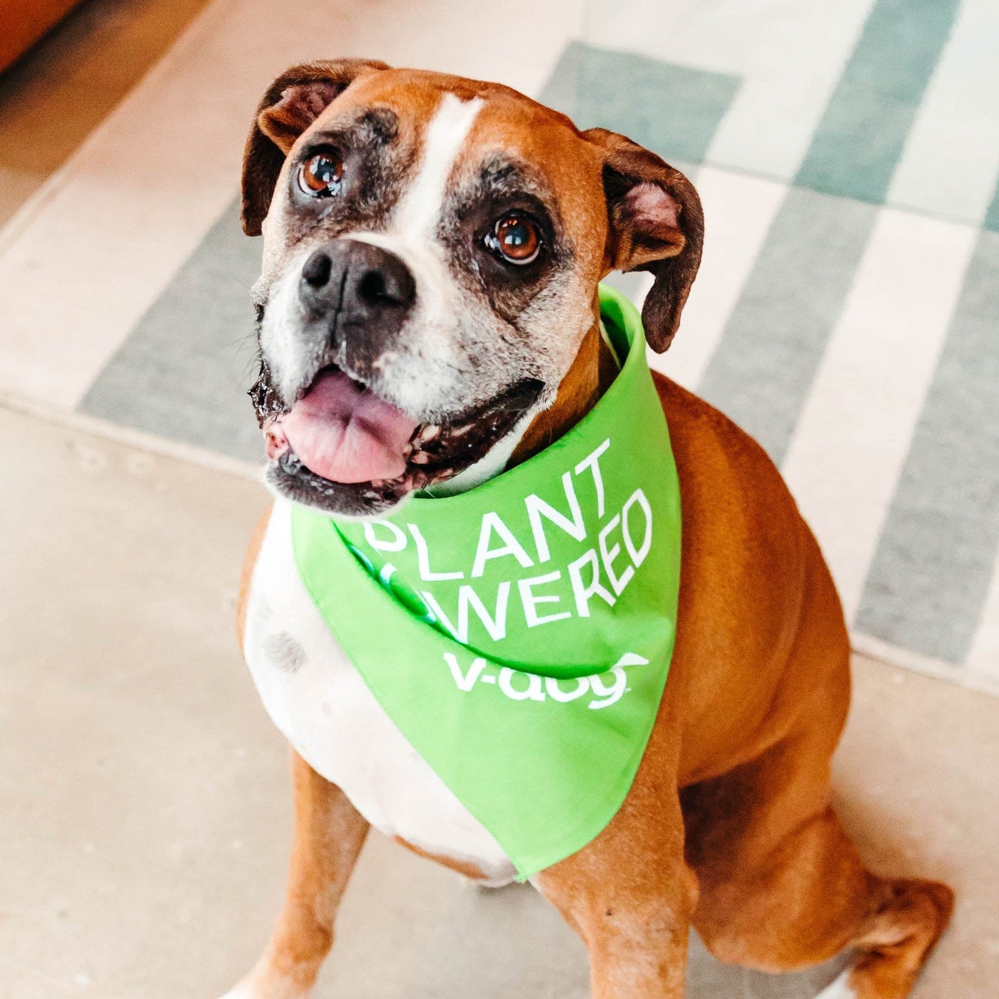plant powered bandana