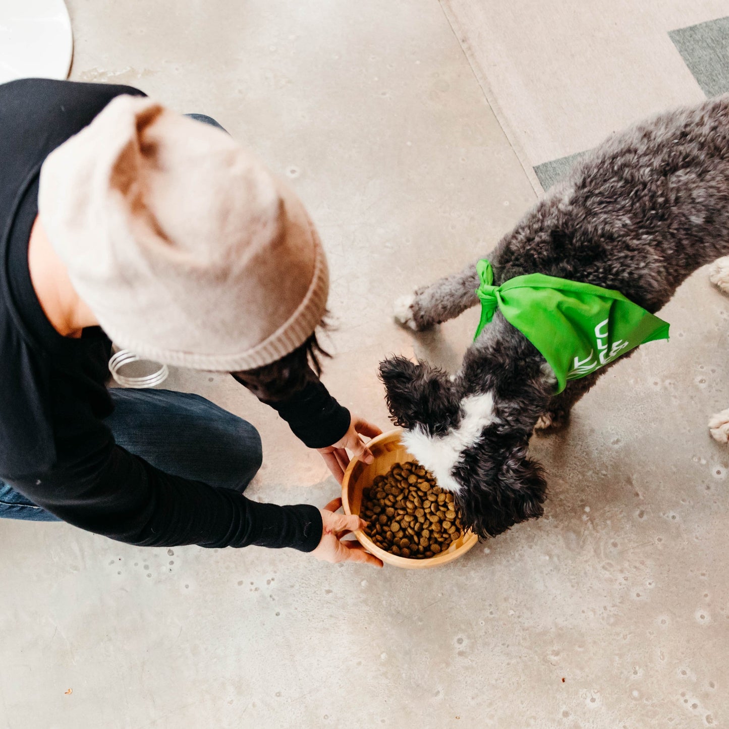 v-dog kind kibble