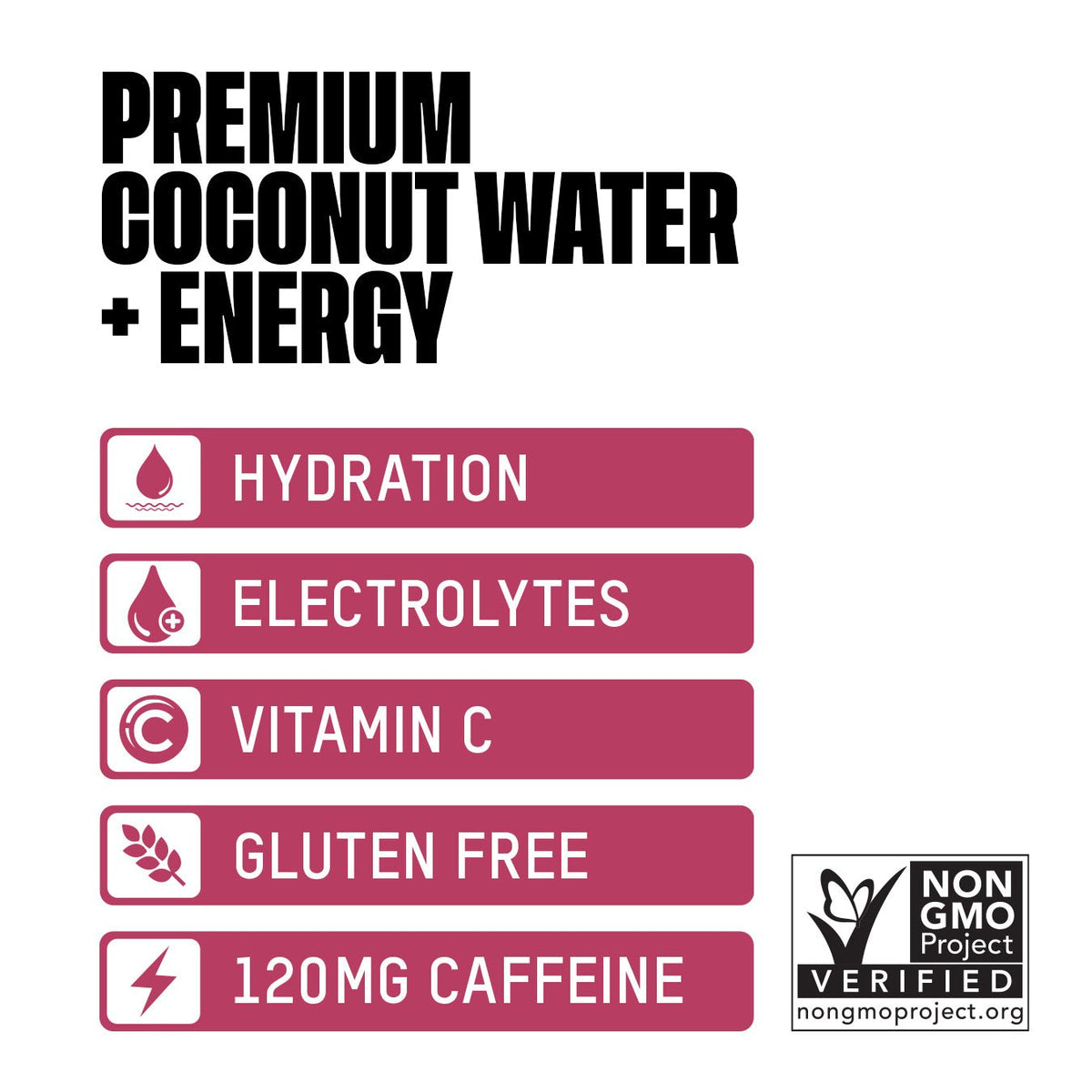 Sparkling Coconut Water + Energy - Vegan America