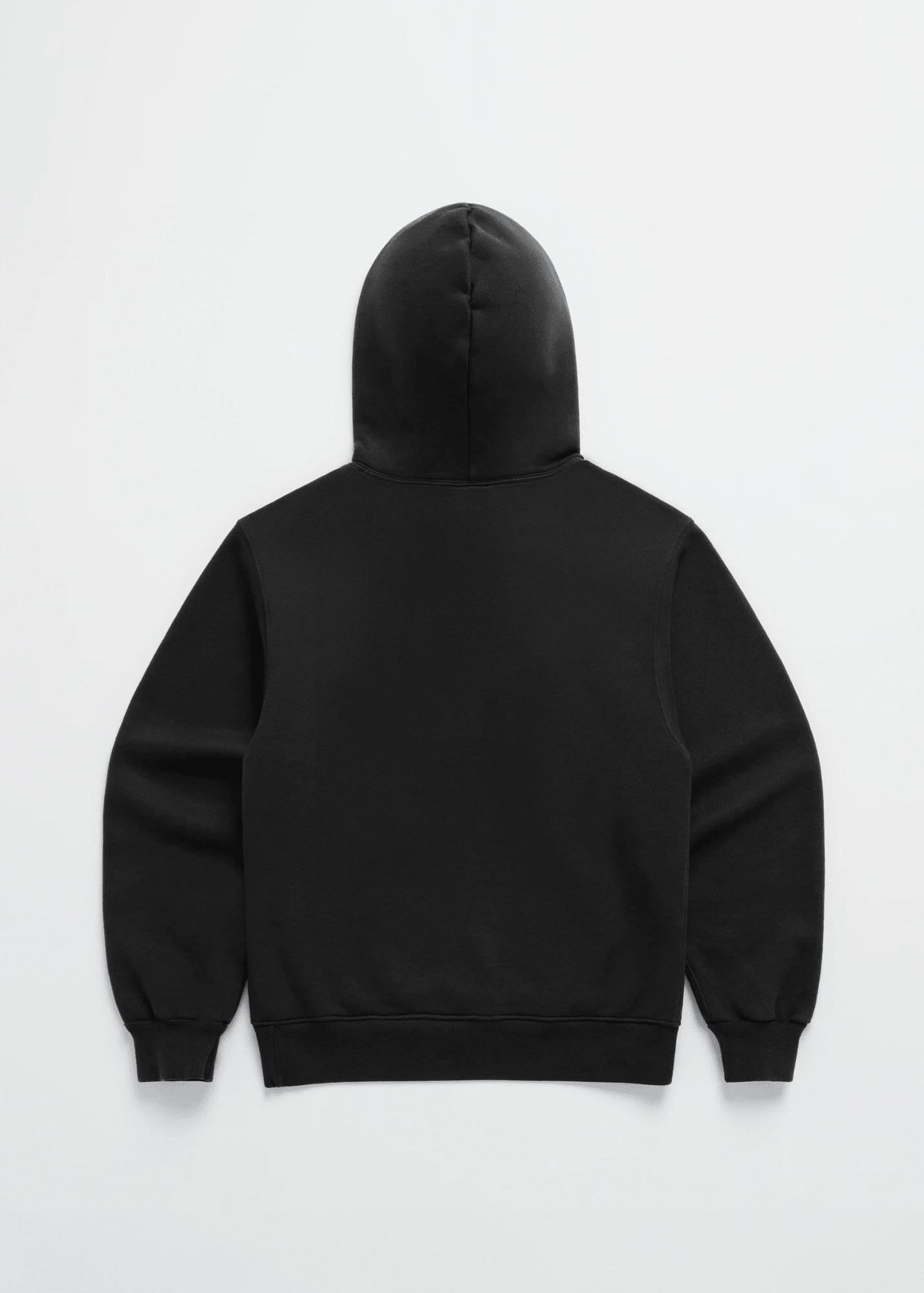 DONT TRUST THE FOOD PYRAMID HOODIE - Vegan America