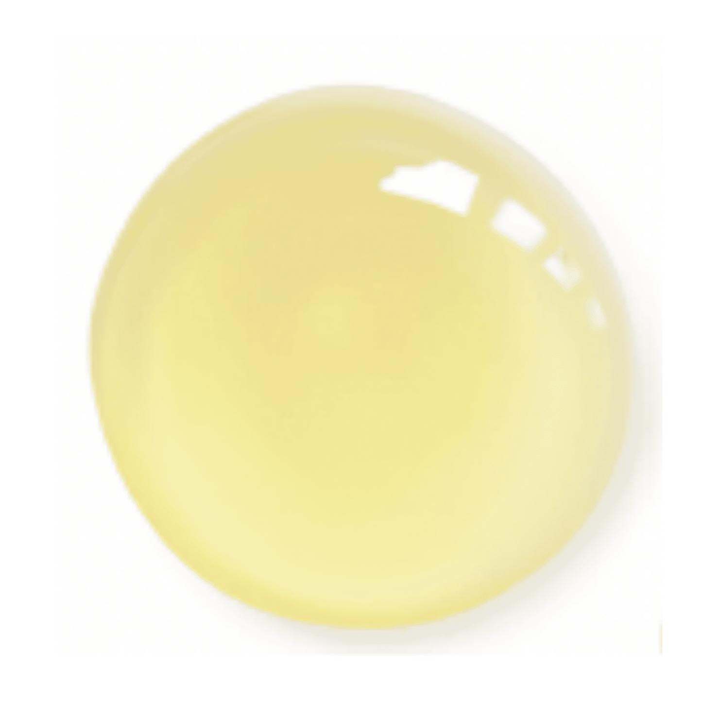 VELVET Advanced Antioxidant Face Oil - Vegan America