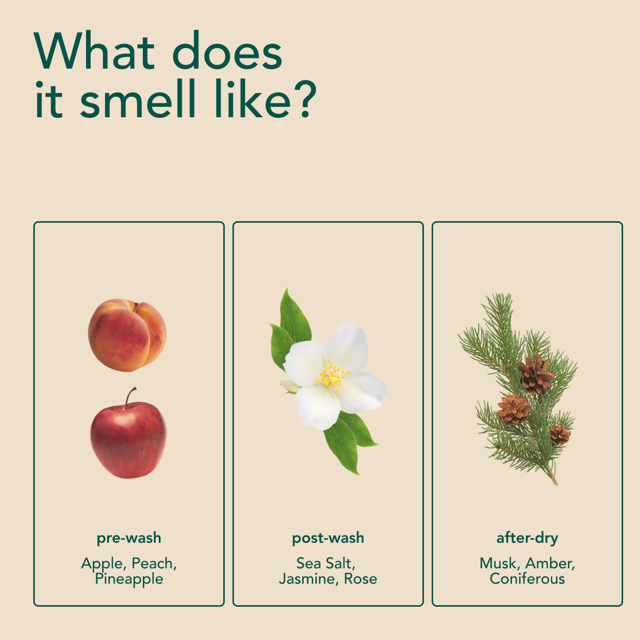 Free Scent Booster Mini Kit