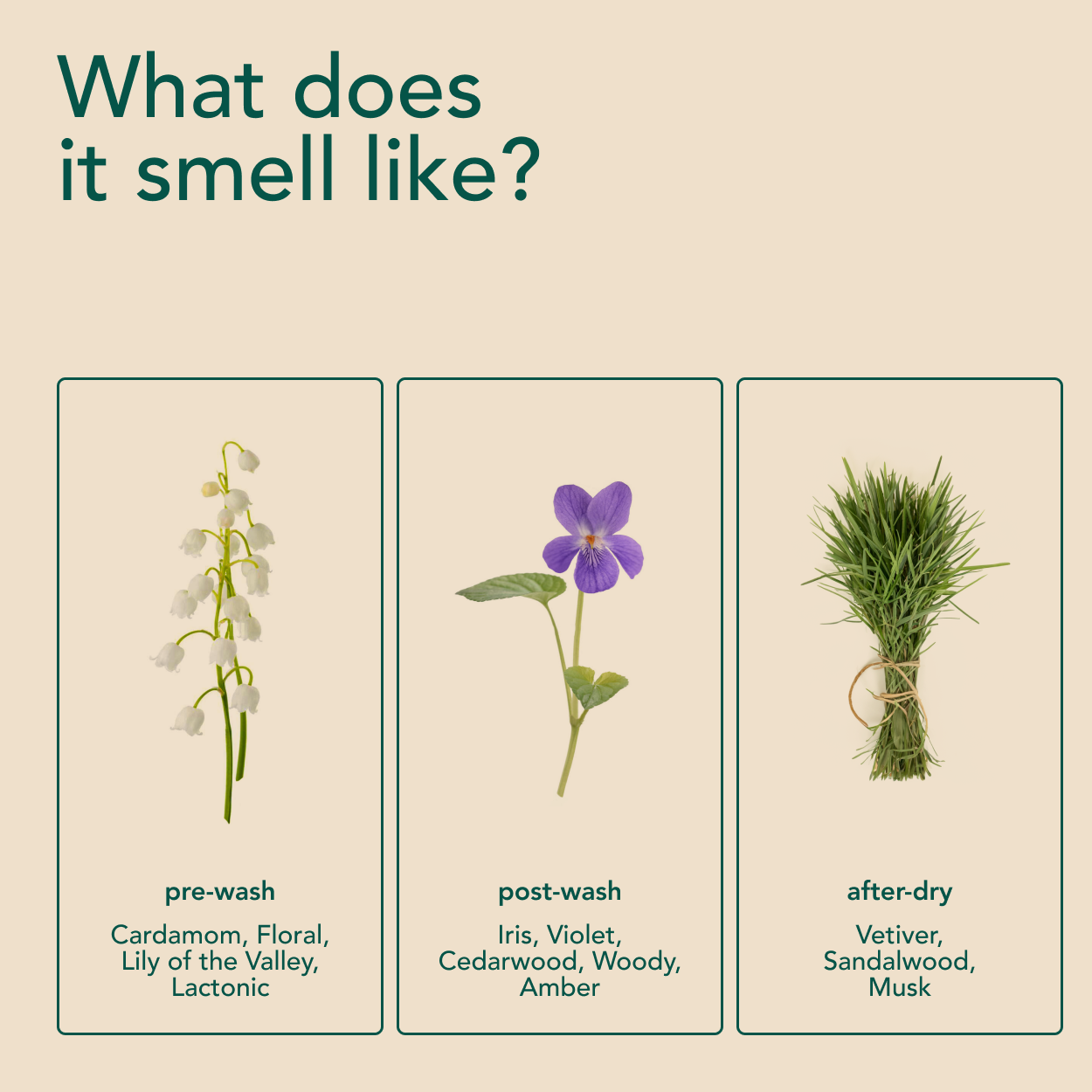 Free Scent Booster Mini Kit