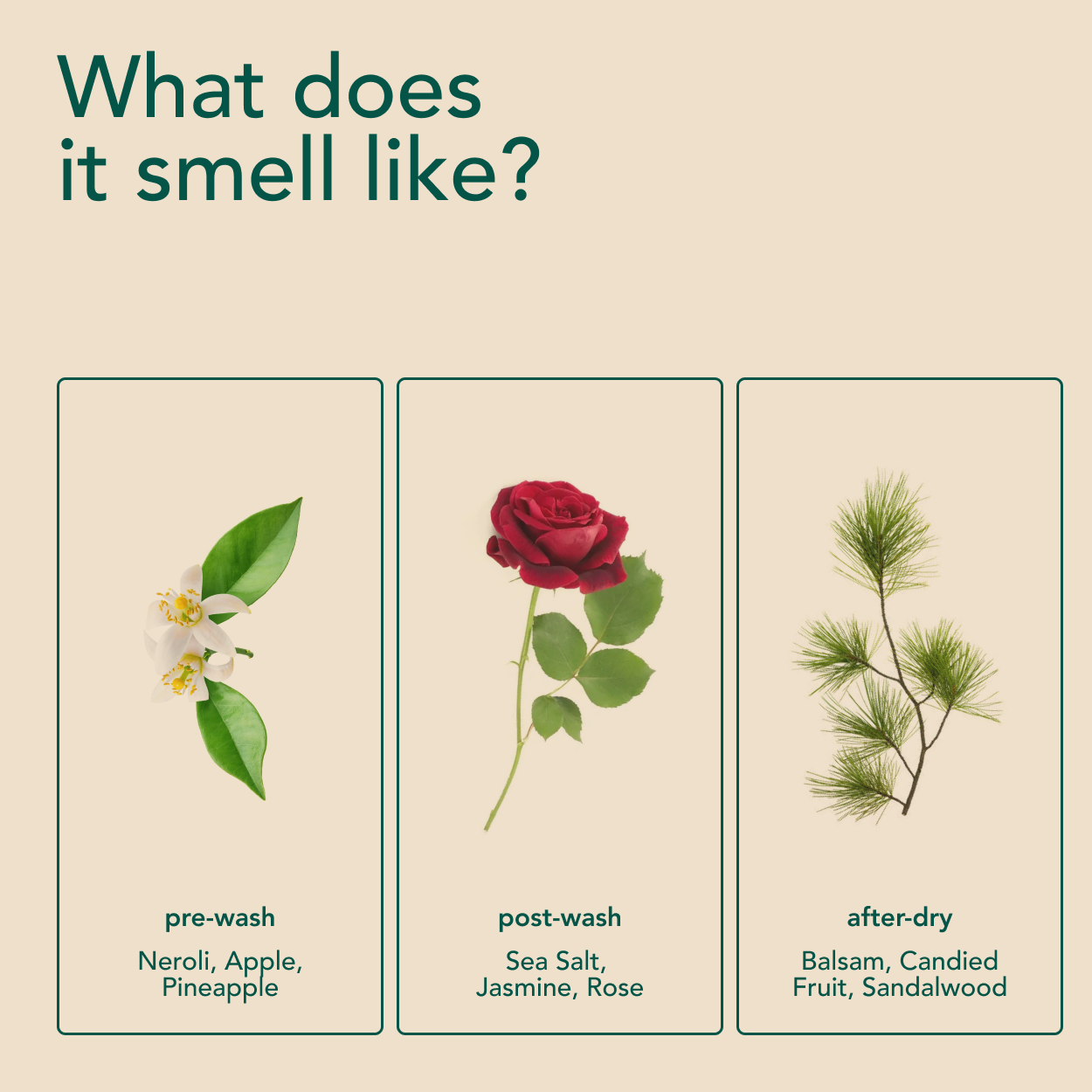 Free Scent Booster Mini Kit