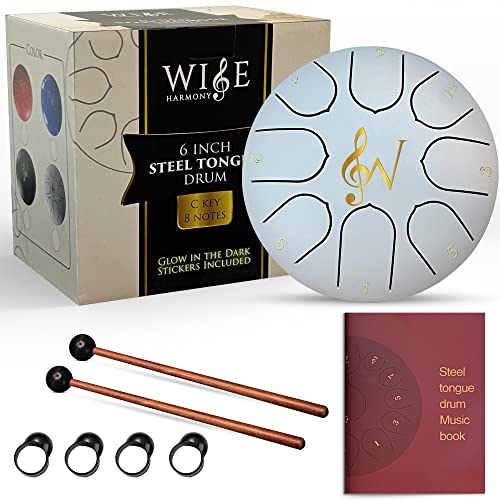 Wise Harmony 6 Inch Steel Tongue Rain Drum