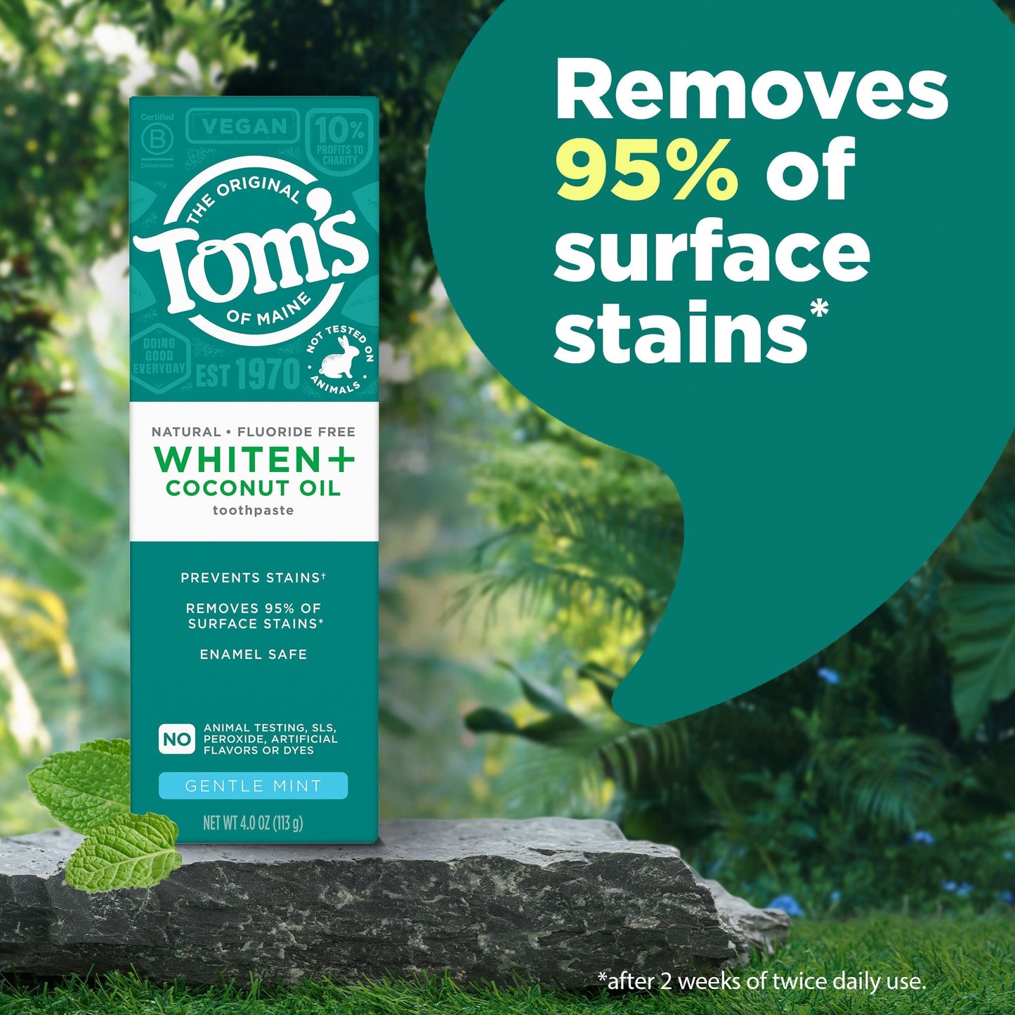 Whiten Plus Coconut Oil Fluoride Free Gentle Mint Natural Toothpaste
