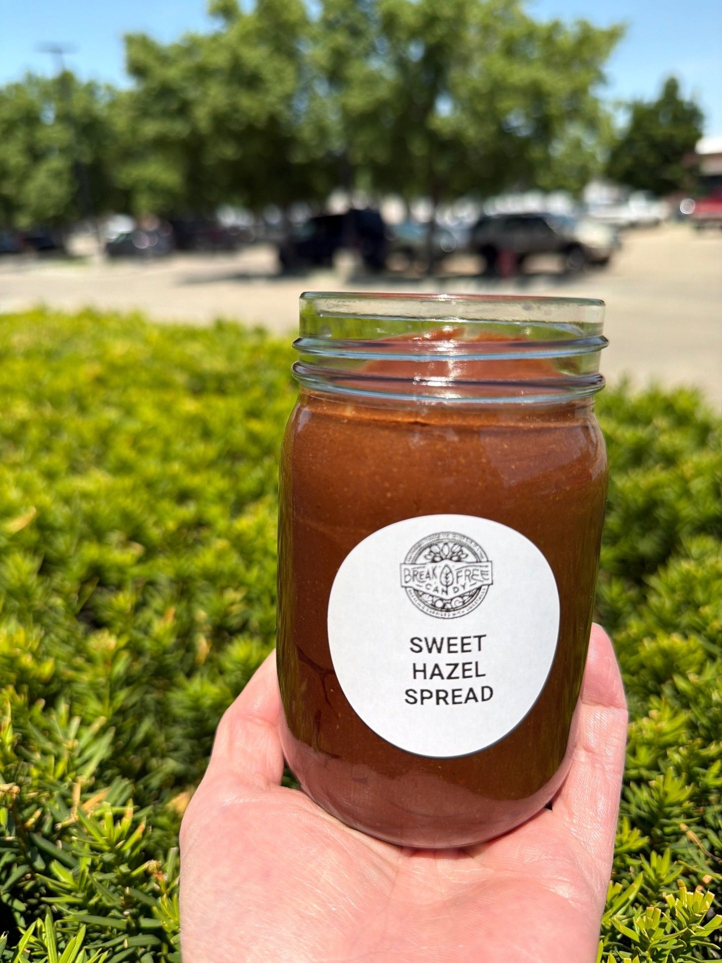 Sweet Hazel Spread - Vegan America