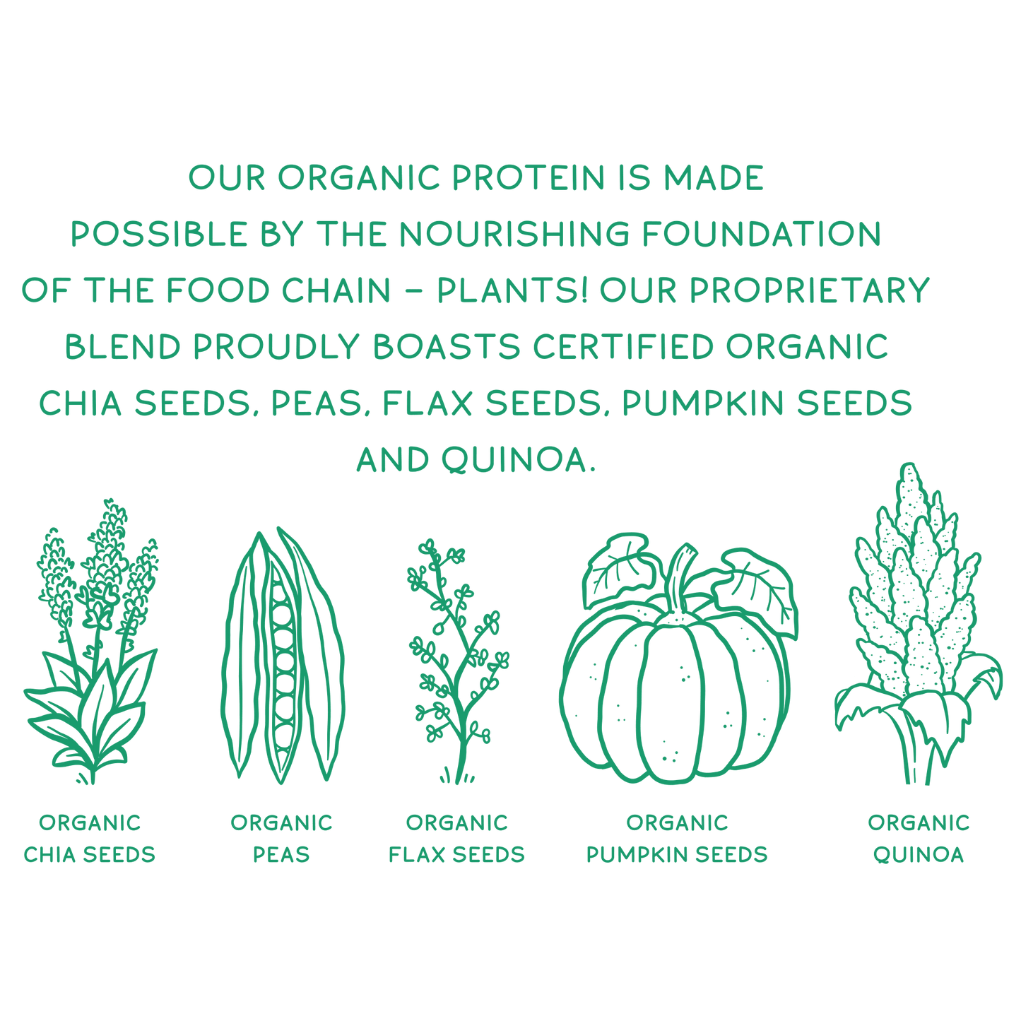 Organic Plant Protein, Unflavored & Unsweetened, 28 Servings - Vegan America