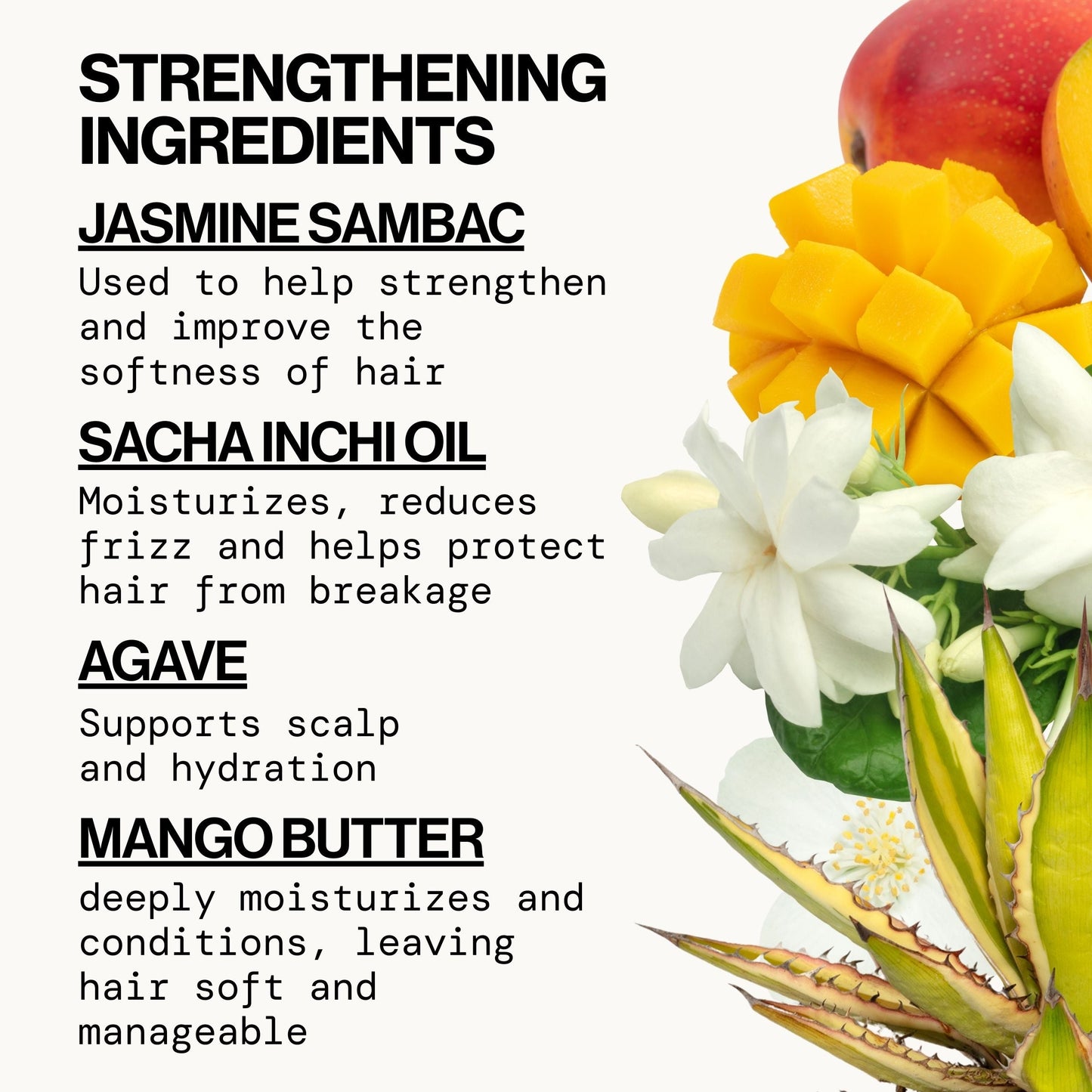 Jasmine Agave Strength + Shine Foaming Shampoo