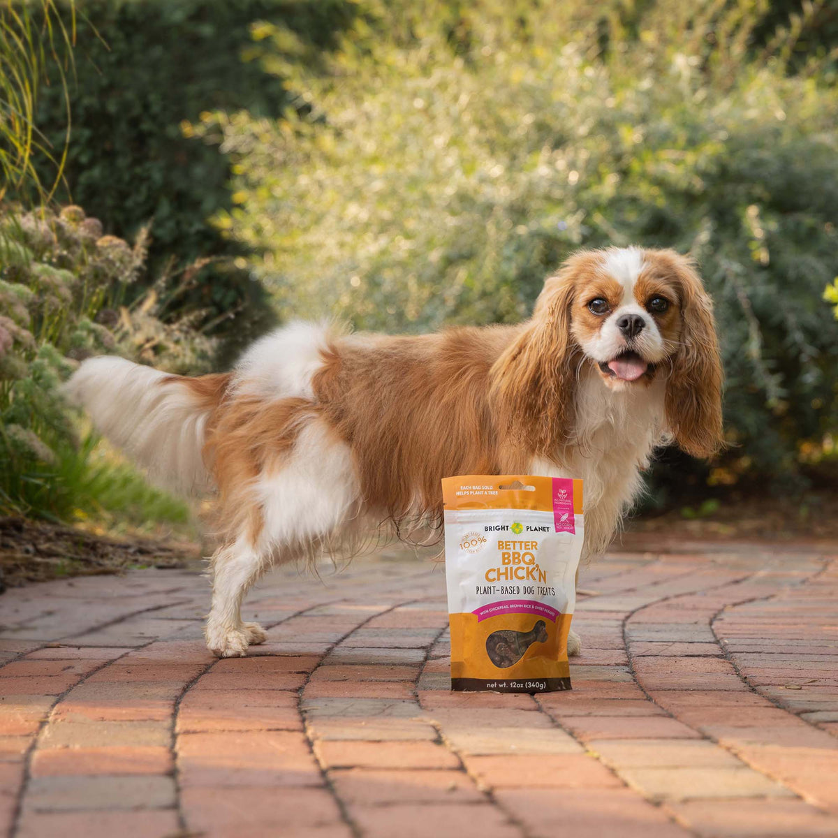 Better BBQ Chick'n Plant-Based Dog Treats - Vegan America