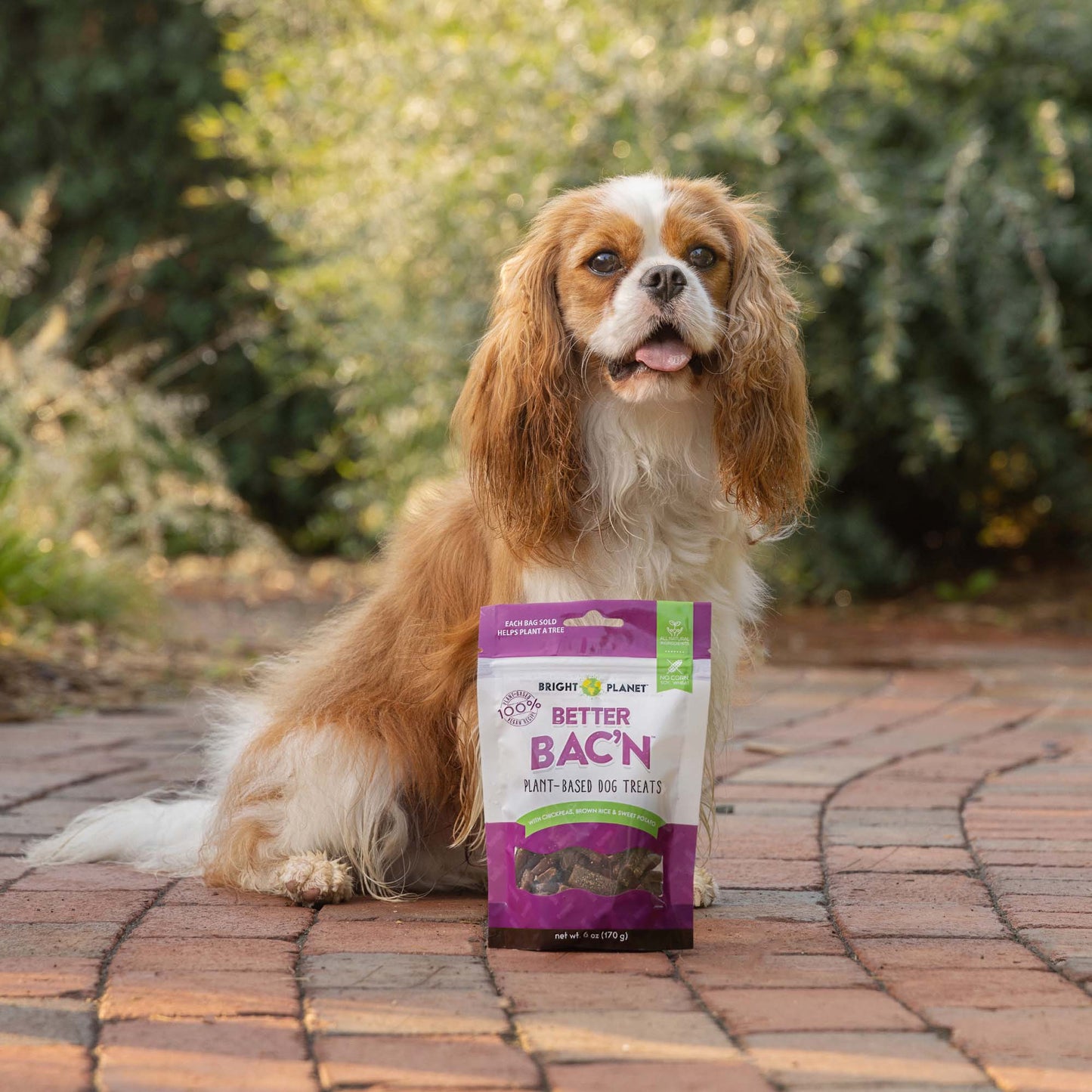 Better Bac'n Plant-Based Dog Treats