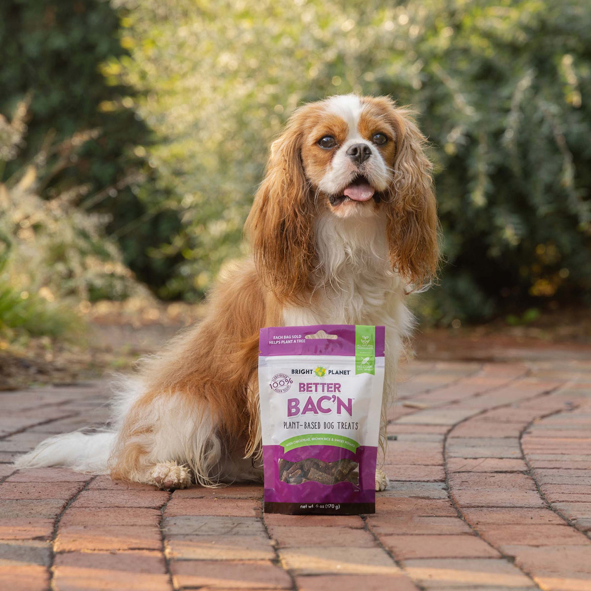Better Bac'n Plant-Based Dog Treats - Vegan America