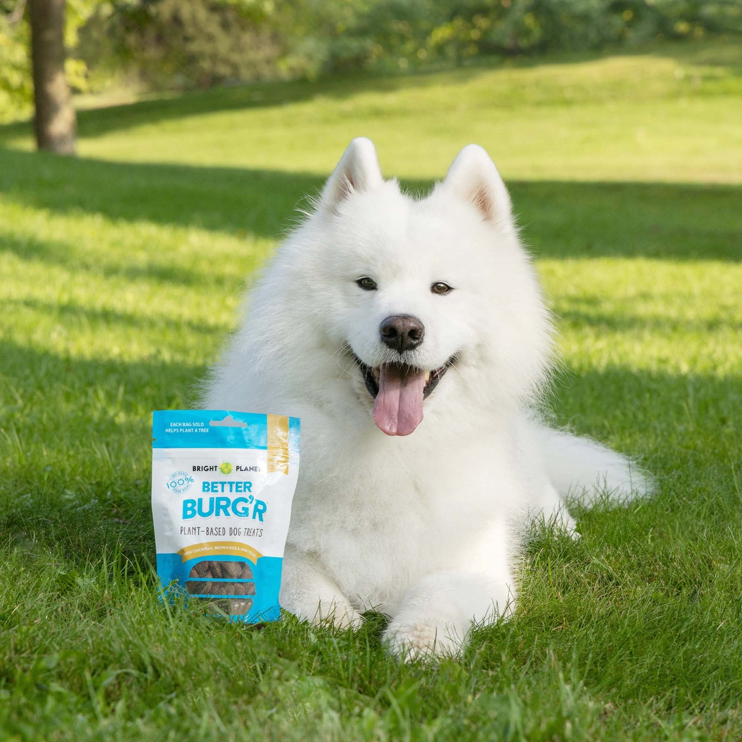 Better Burg'r Plant-Based Dog Treats