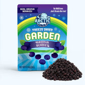Freeze Dried Organic Aronia Berries - Vegan America