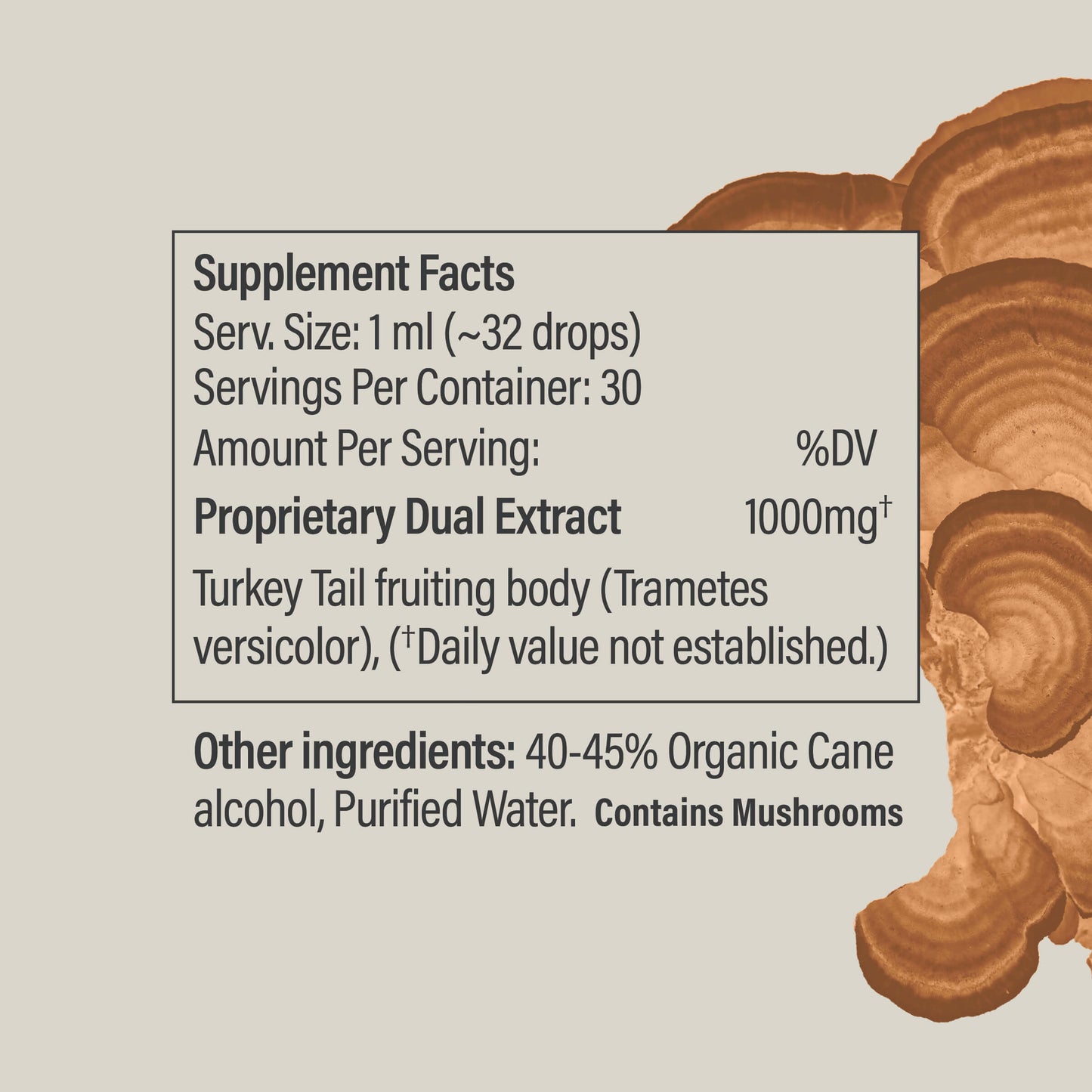 Turkey Tail Tincture - Vegan America