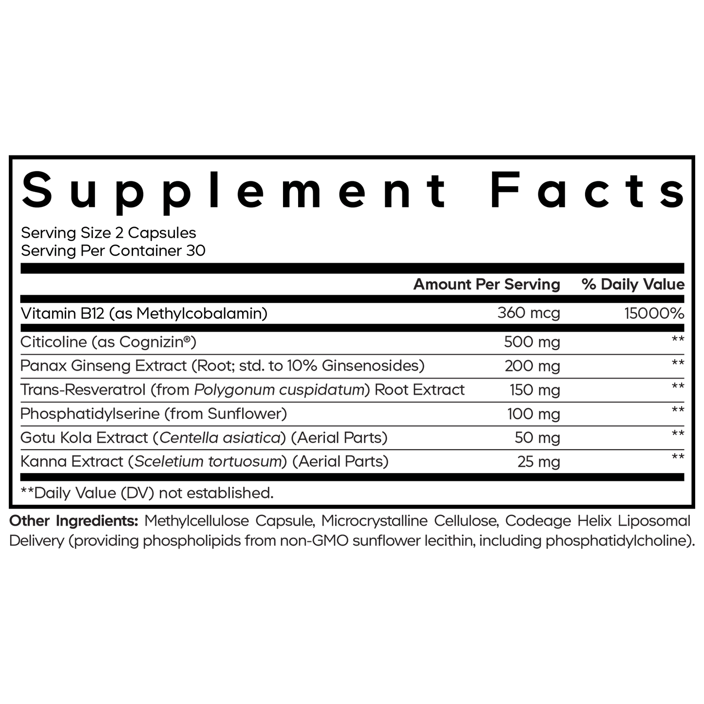 Brain Focus Vitamins+ - Vegan America