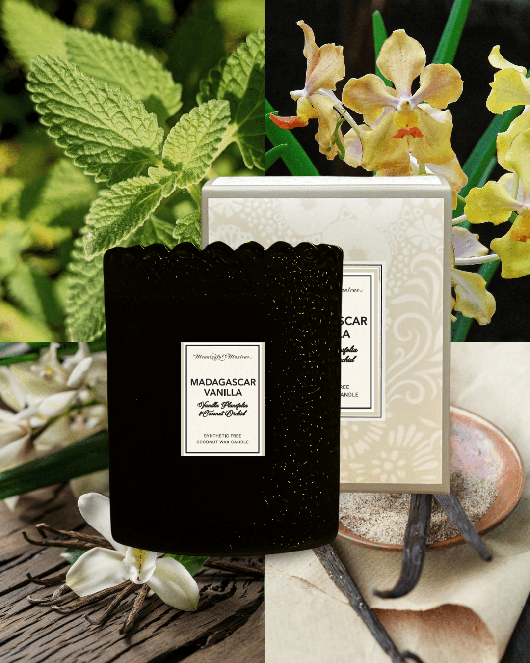 Madagascar Vanilla Natural Candle 8oz Kaia Collection - Vegan America