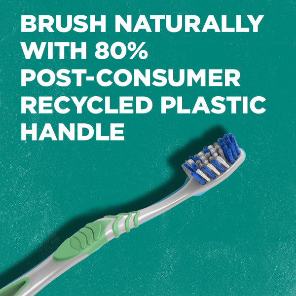 Whole Care Oral Health Bundle