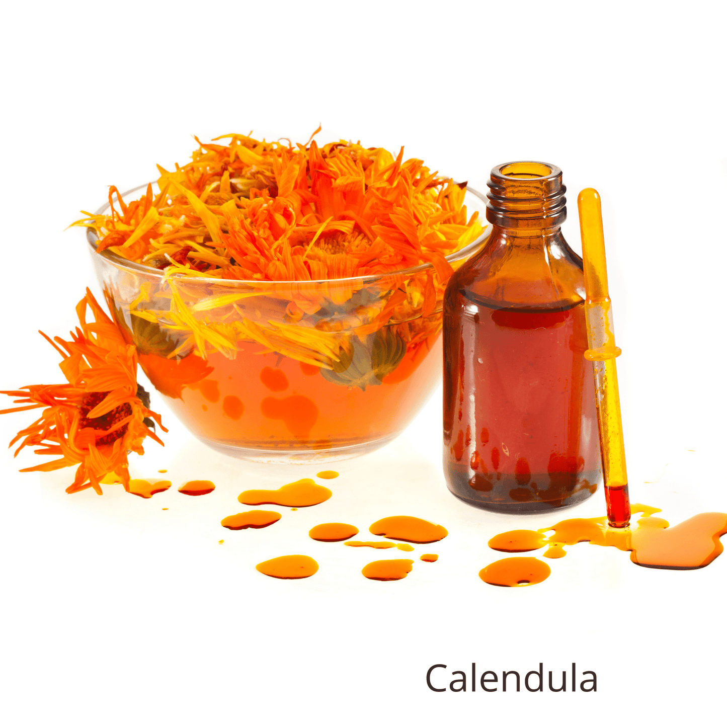 Calendula Toner + Carrot Toner