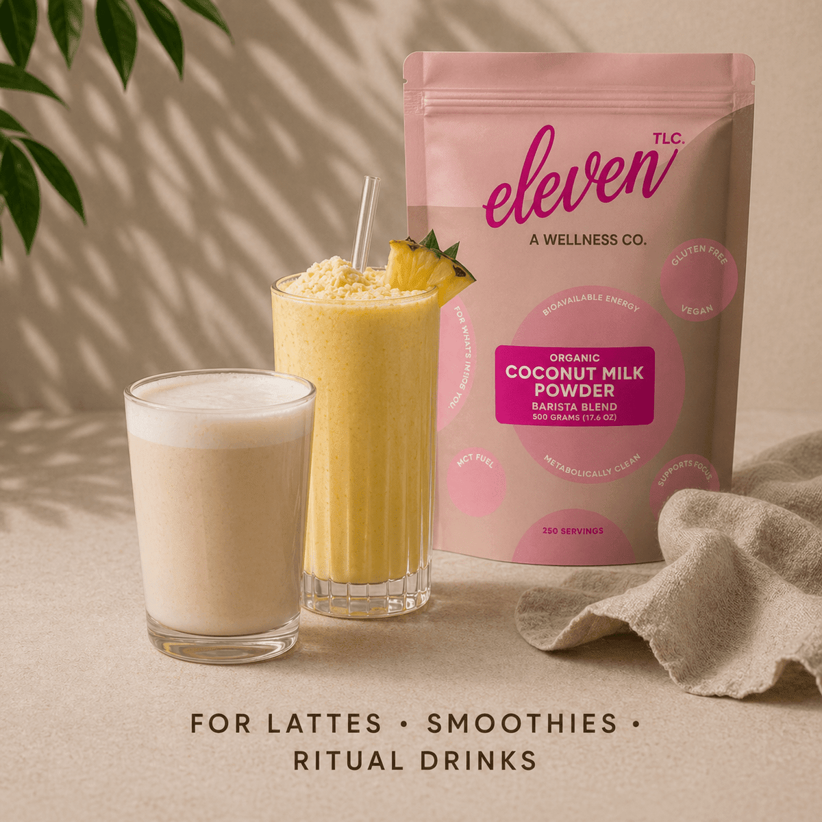 Coconut Milk Powder 500g - Vegan America