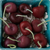 Cherry Basket - Vegan America