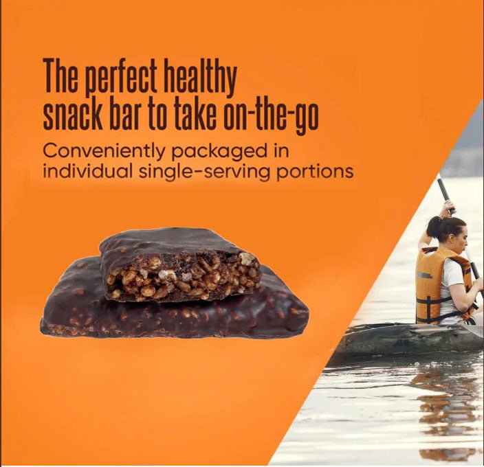 Fitness Vegan Plant Based Protein Nutritional Bars, Sugar - Free - Vegan America