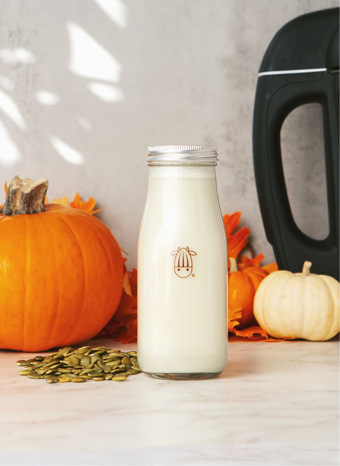 Fall Recipes ebook - Vegan America
