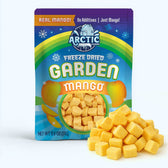 Freeze Dried Mango - Vegan America