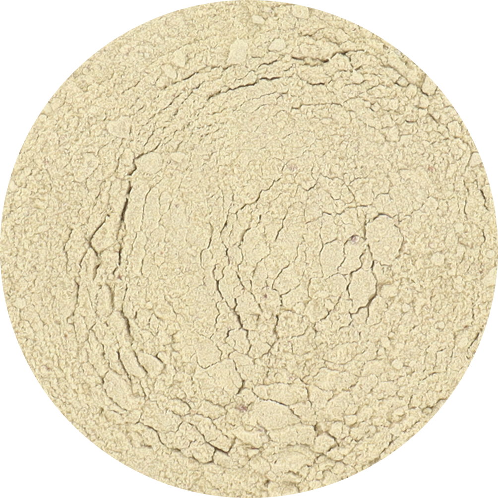Freeze Dried Ginger Powder