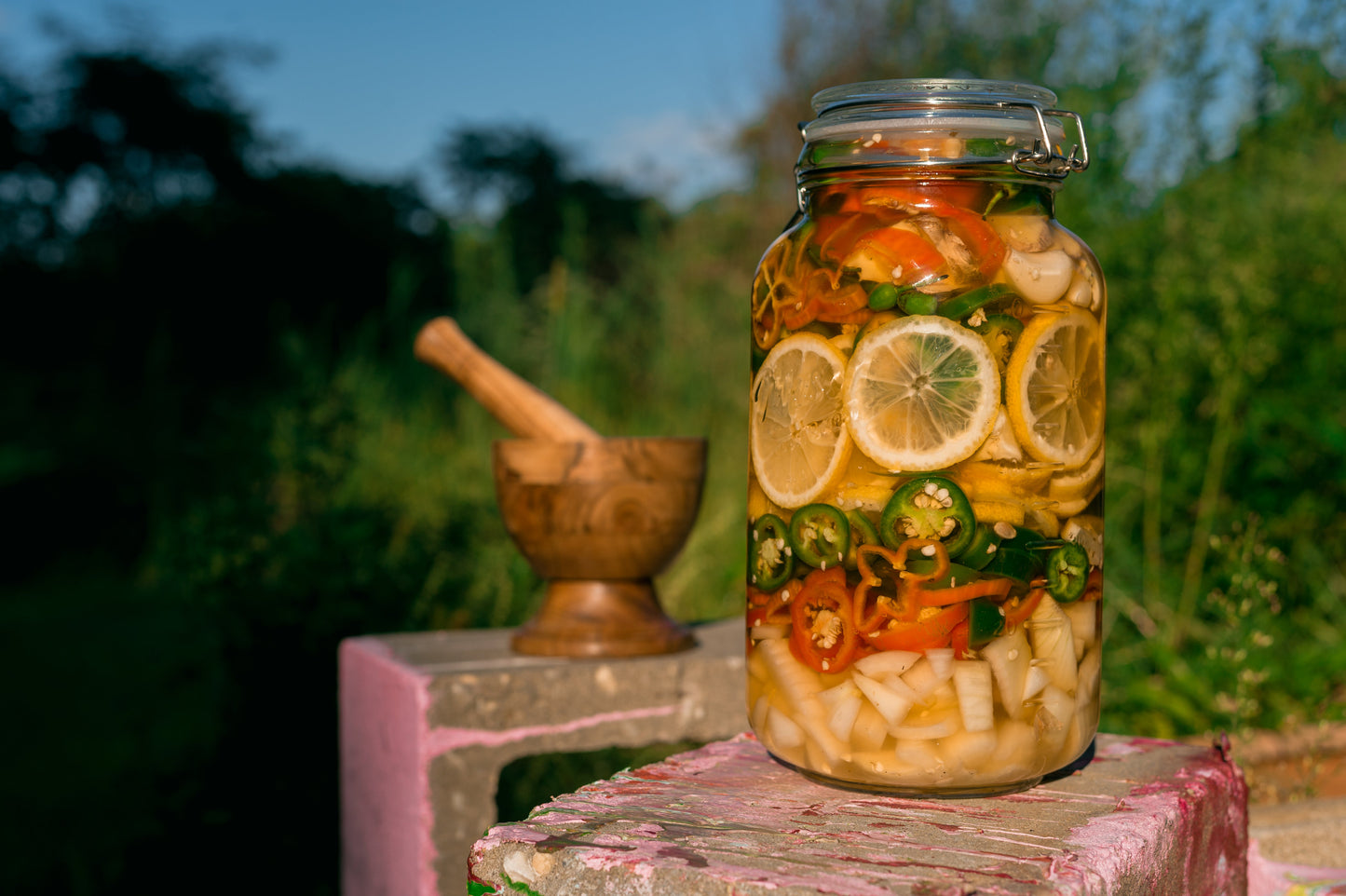 VEGAN Fire cider | TRAVEL MINI | (superfood infused daily wellness tonic) with local honey, wild plants, and organic ingredients