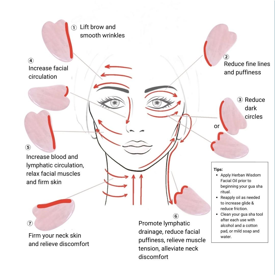 Gua Sha Tool - Vegan America