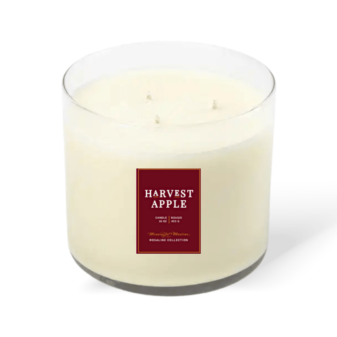 Harvest Apple Natural Candle 16oz 3 - Wick - Vegan America