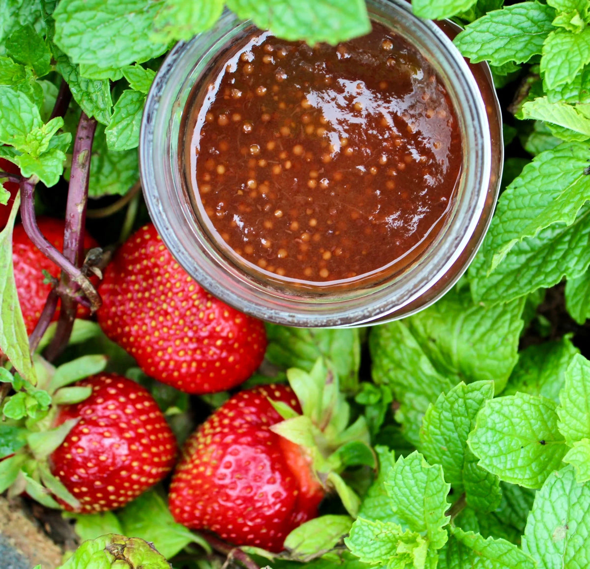 Strawberry Mint Mostarda - Vegan America