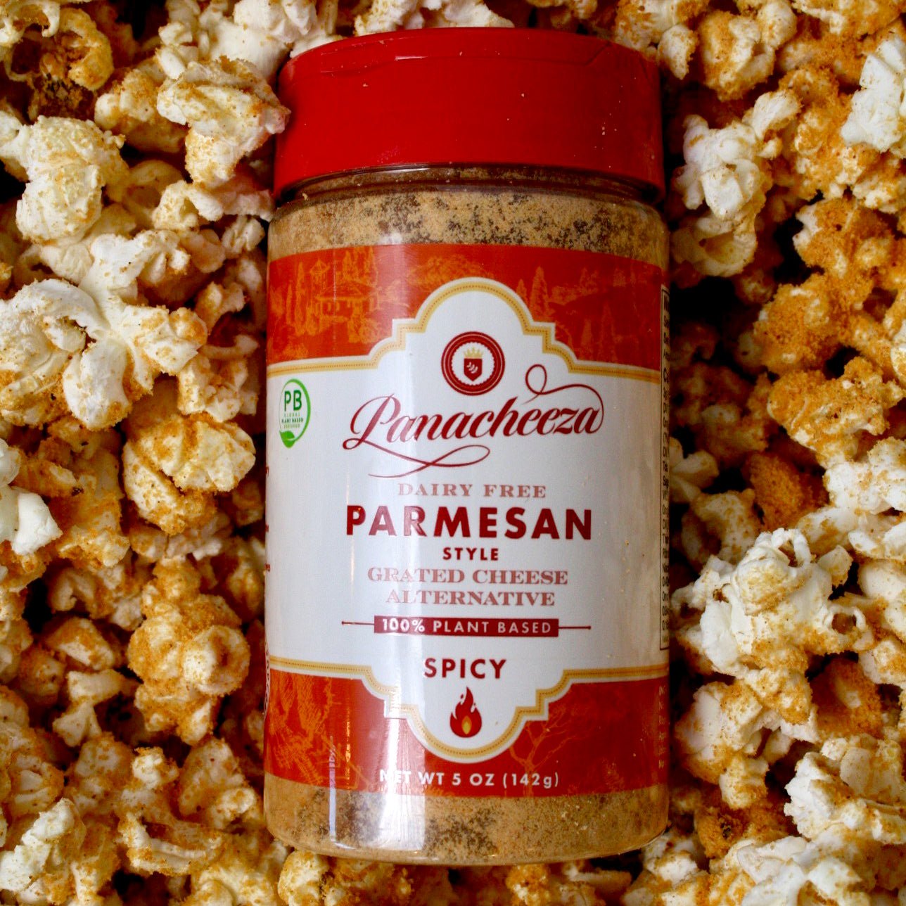 Panacheeza Hot & Spicy - Vegan America