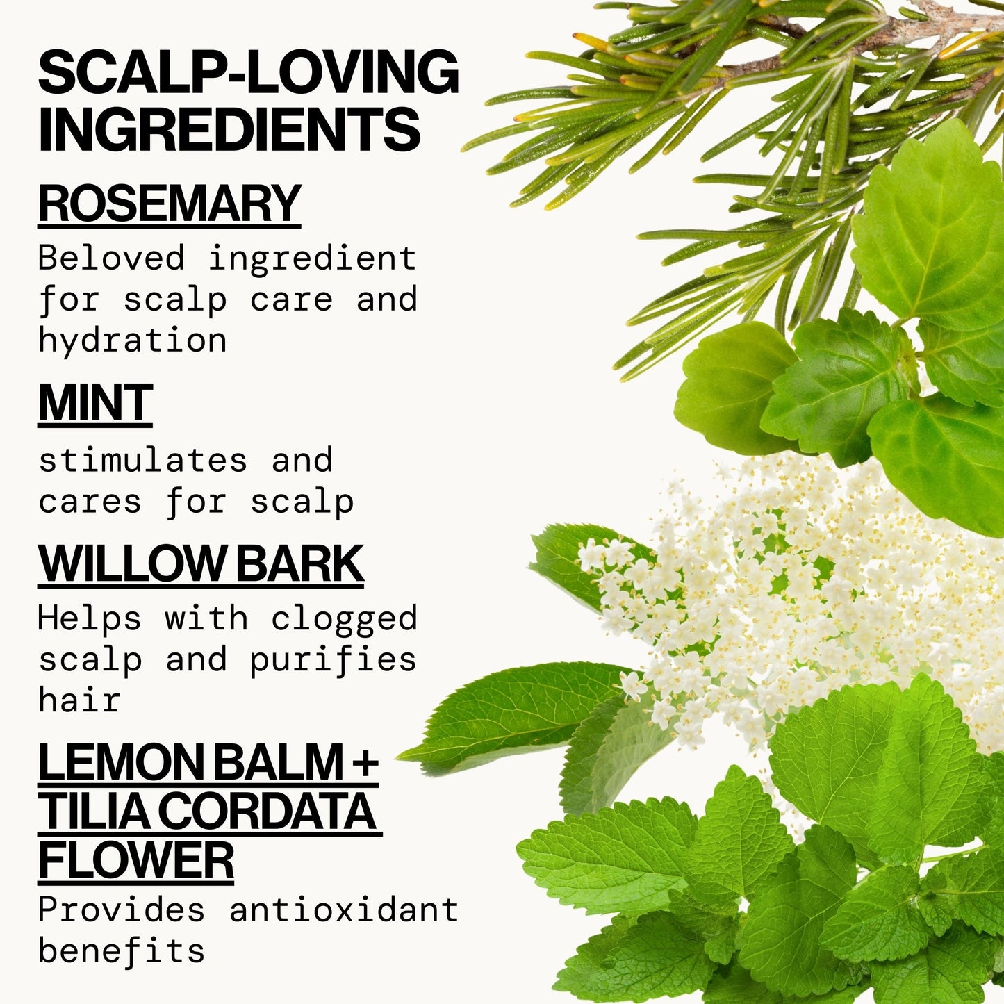 Rosemary Mint Scalp Love Foam Shampoo