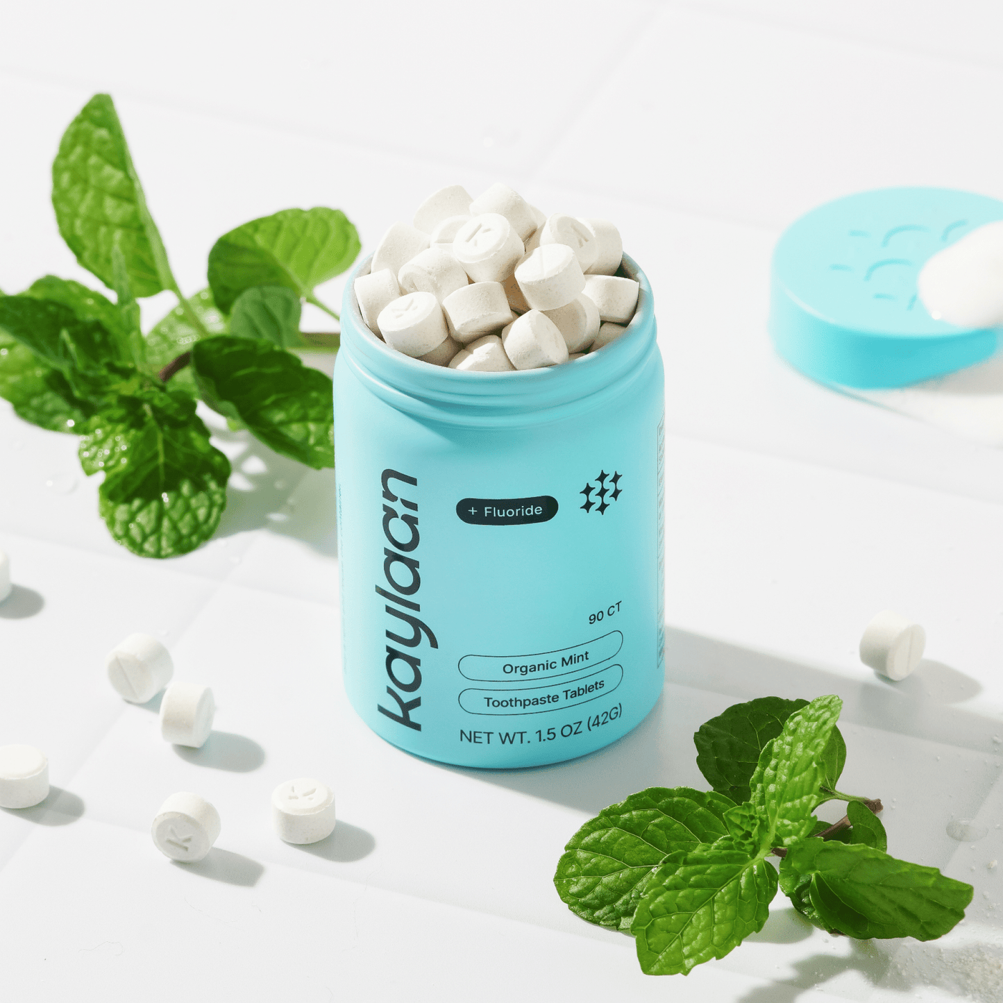 Fluoride Mint Toothpaste Tablets - Vegan America
