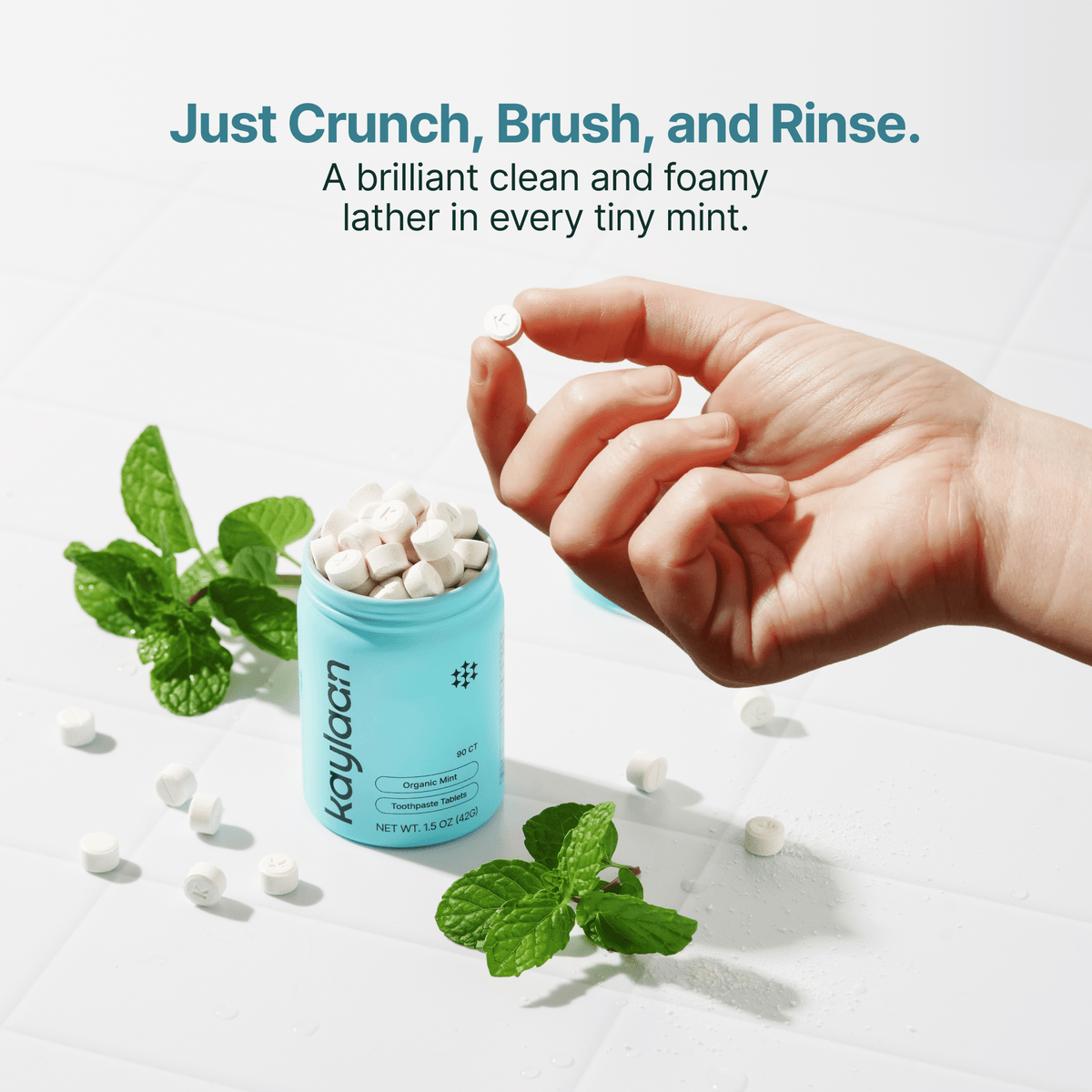 Fluoride Mint Starter Kit - Vegan America