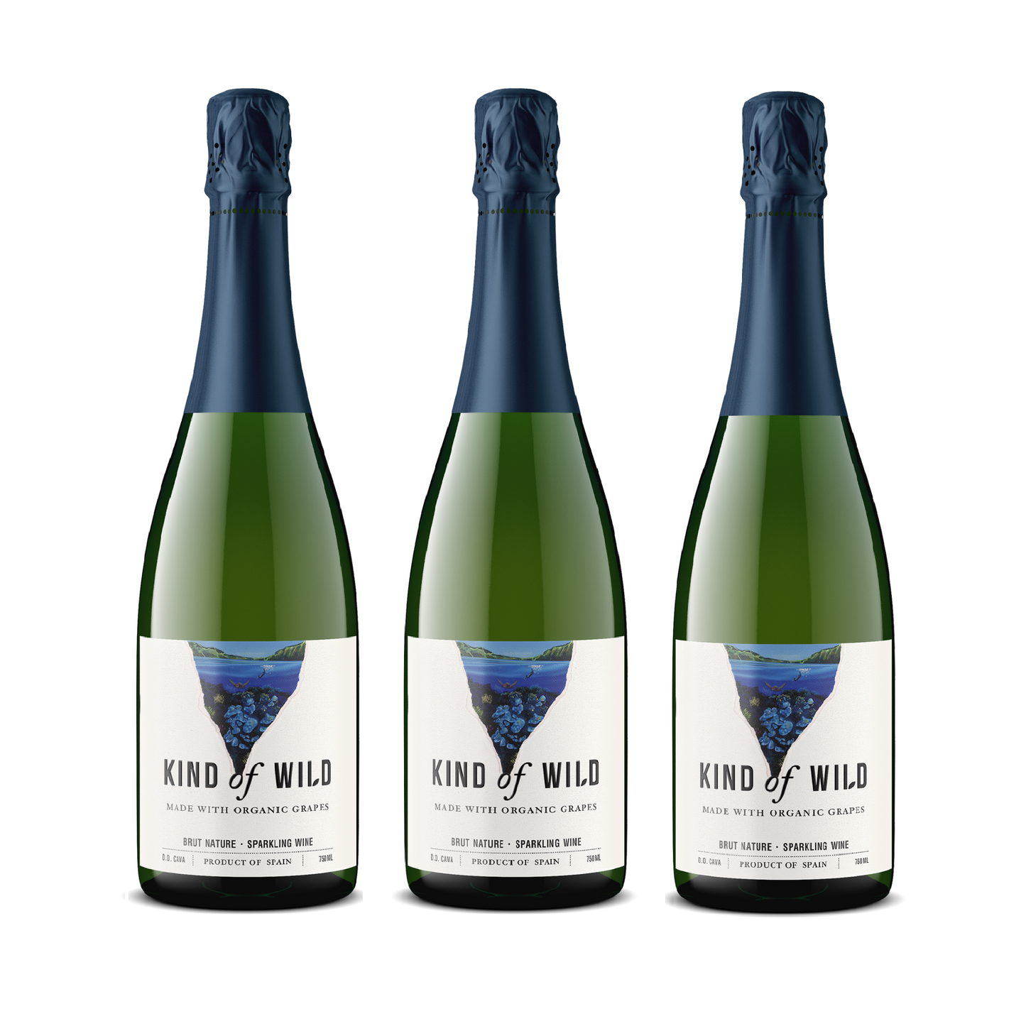 Sparkling 3-Pack