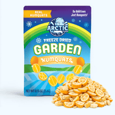 Freeze Dried Kumquat - Vegan America