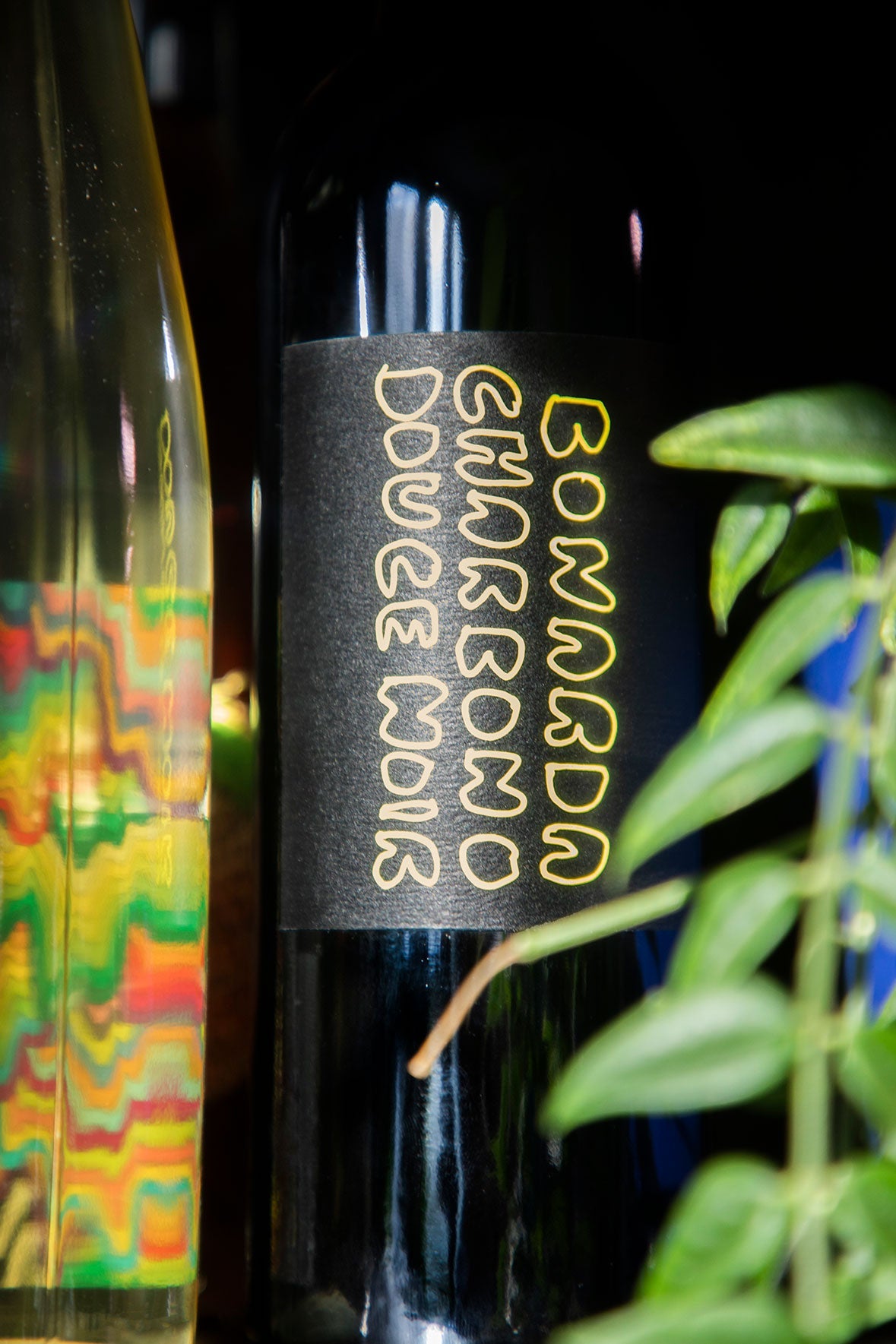 2022 Charbono Amphora