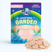 Freeze Dried Pink Lemon Slices - Vegan America